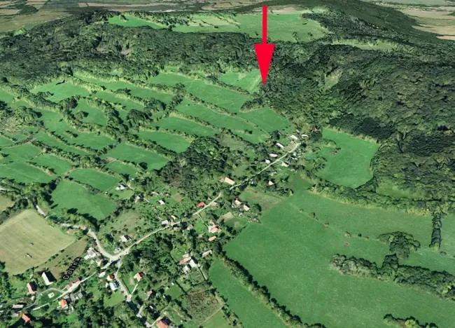 Prodej lesa, Kozly, 3340 m2