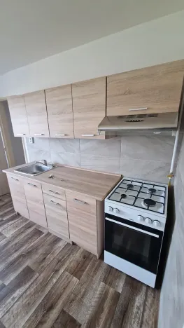 Pronájem bytu 1+1, Dubí, Lípová, 40 m2
