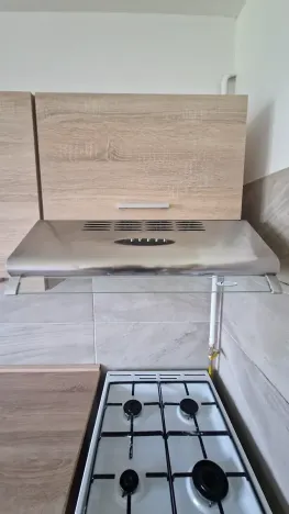 Pronájem bytu 1+1, Dubí, Lípová, 40 m2
