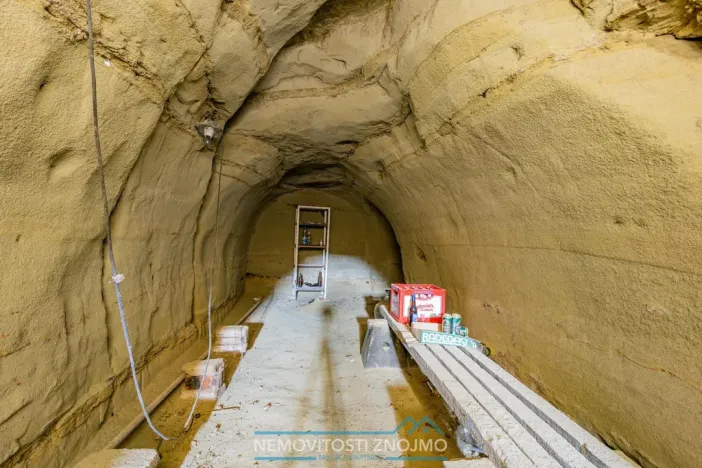 Prodej vinného sklepa, Pravice, 154 m2