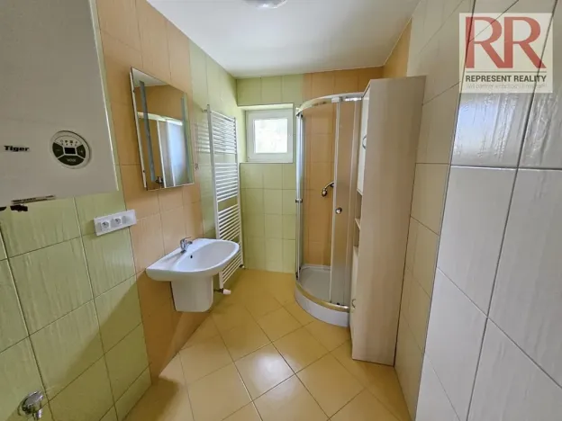 Pronájem obchodního prostoru, Plzeň, Mezi Ploty, 160 m2