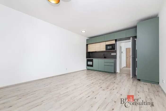 Pronájem bytu 1+kk, Plzeň - Jižní Předměstí, Železná, 38 m2