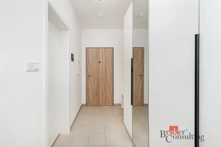 Pronájem bytu 1+kk, Plzeň - Jižní Předměstí, Železná, 38 m2