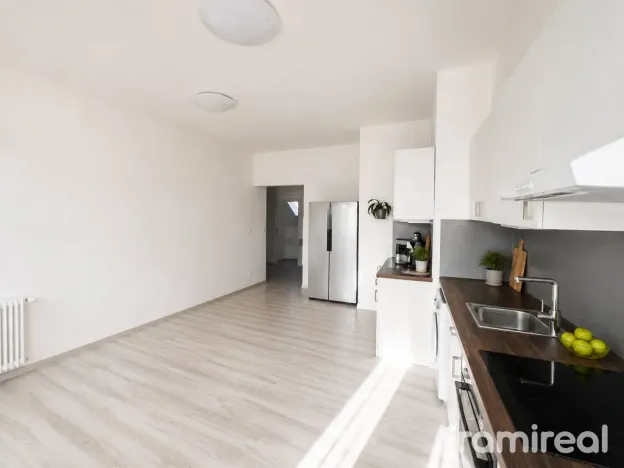 Pronájem bytu 3+kk, Brno, Gorkého, 106 m2