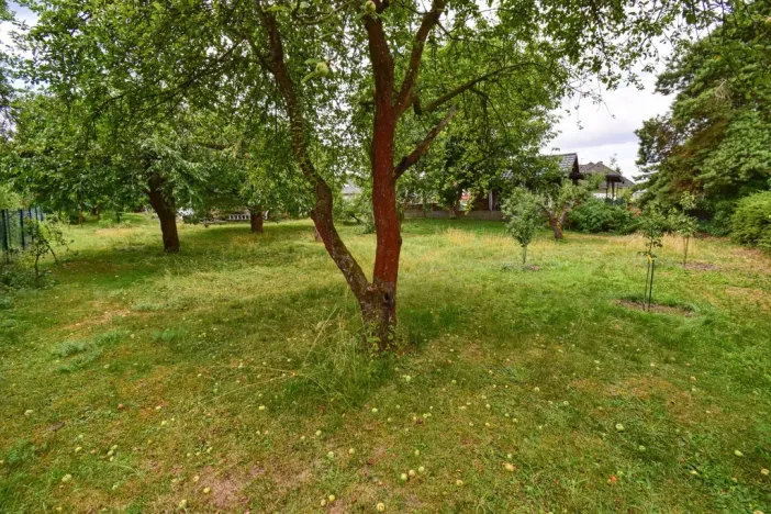 Prodej pozemku pro bydlení, Třemošná, Nové sídliště, 1133 m2