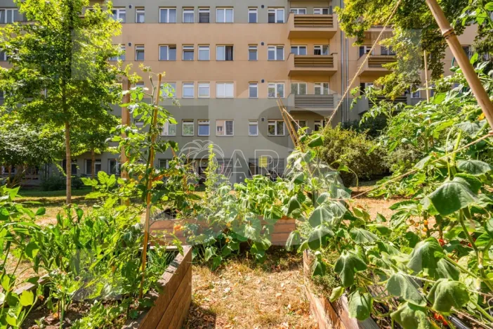 Prodej bytu 2+kk, Praha - Vršovice, Kišiněvská, 56 m2