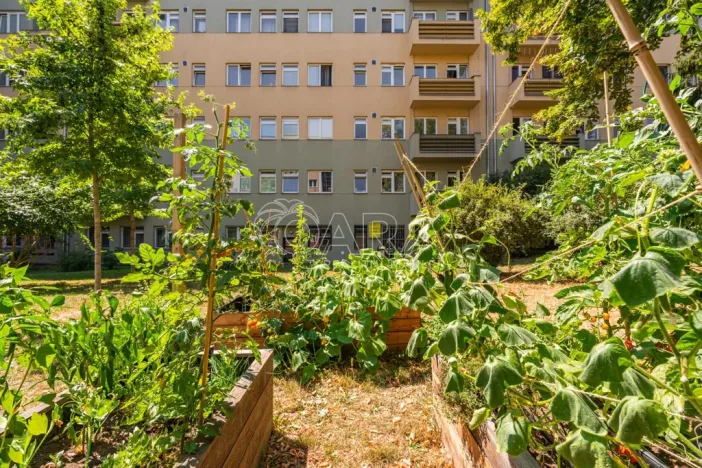 Prodej bytu 2+kk, Praha - Vršovice, Kišiněvská, 56 m2