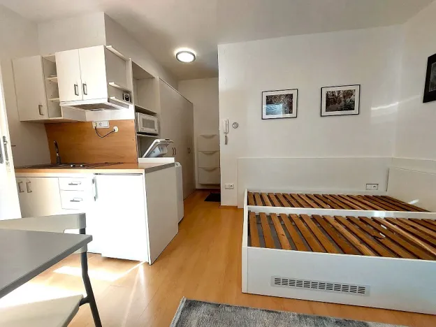 Pronájem bytu 1+kk, Brno, Eleonory Voračické, 25 m2