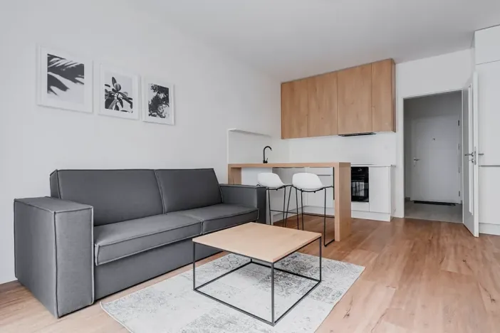 Pronájem bytu 1+kk, Praha - Karlín, Pernerova, 30 m2