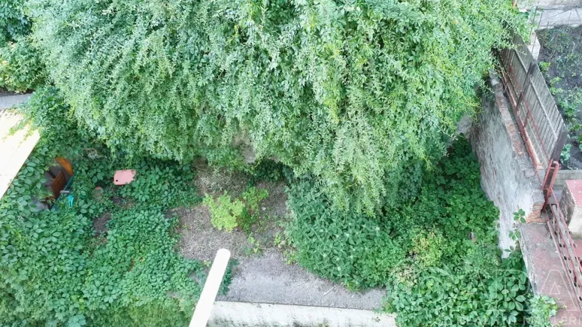 Pronájem bytu 1+1, Praha - Břevnov, Na Petynce, 31 m2