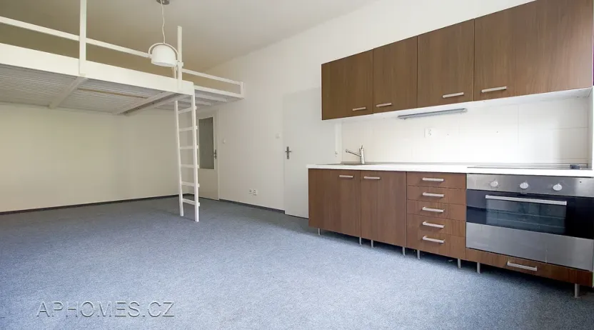 Pronájem bytu 1+kk, Praha - Nusle, U čtyř domů, 31 m2