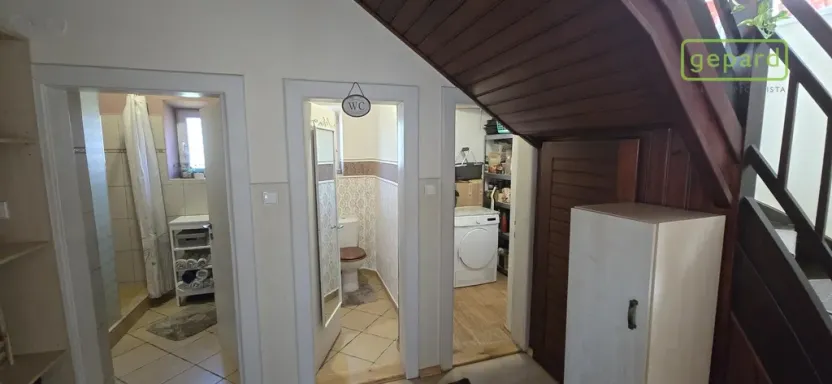 Prodej vícegeneračního domu, Suchdol nad Lužnicí, Pražská, 169 m2