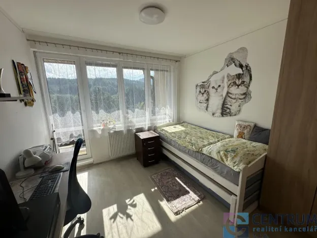 Prodej rodinného domu, Tanvald - Šumburk nad Desnou, Na Balkáně, 210 m2