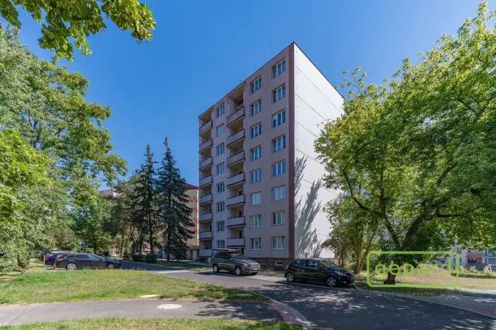 Prodej bytu 1+1, Cheb, Matěje Kopeckého, 36 m2