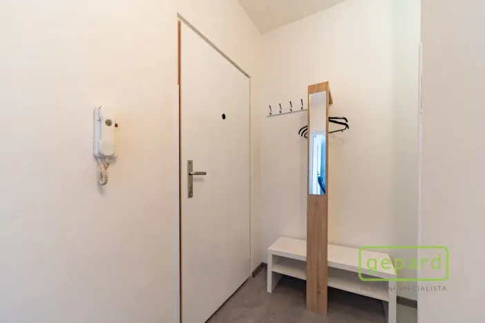 Prodej bytu 1+1, Cheb, Matěje Kopeckého, 36 m2