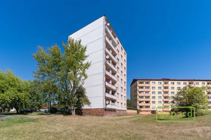 Prodej bytu 1+1, Cheb, Matěje Kopeckého, 36 m2