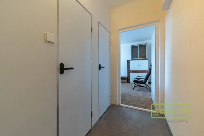 Prodej bytu 1+1, Cheb, Matěje Kopeckého, 36 m2