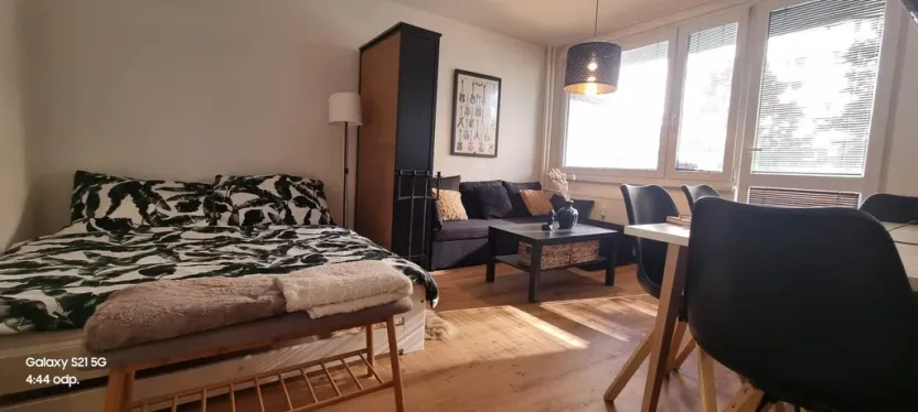 Pronájem bytu 1+kk, Pardubice - Polabiny, Brožíkova, 40 m2