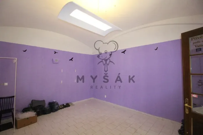 Pronájem obchodního prostoru, České Budějovice - České Budějovice 1, Krajinská, 20 m2