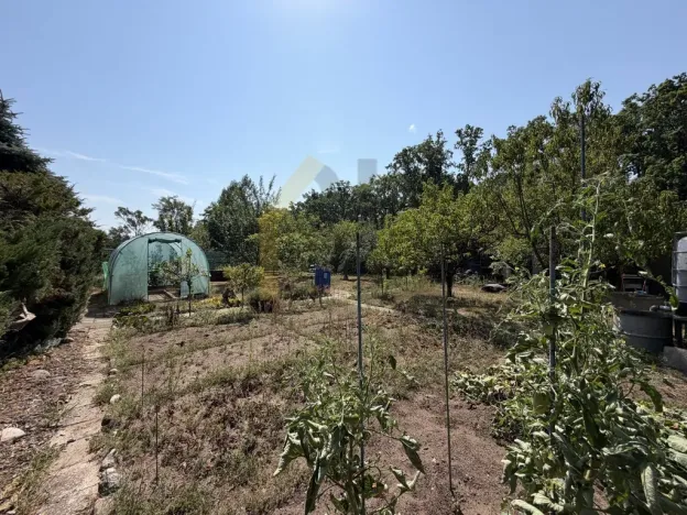 Prodej zahrady, Hodonín, Na Výhoně, 556 m2