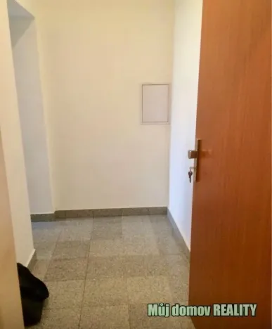 Pronájem bytu 1+kk, Praha - Vysočany, Freyova, 18 m2