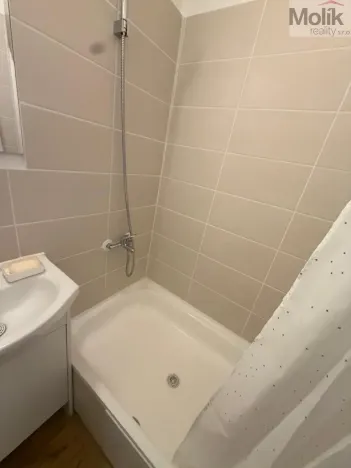 Prodej bytu 2+kk, Most, Františka Malíka, 39 m2