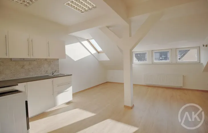 Pronájem bytu 1+kk, Ostrava - Moravská Ostrava, Jílová, 37 m2