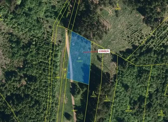 Dražba louky, Hovězí, 1222 m2