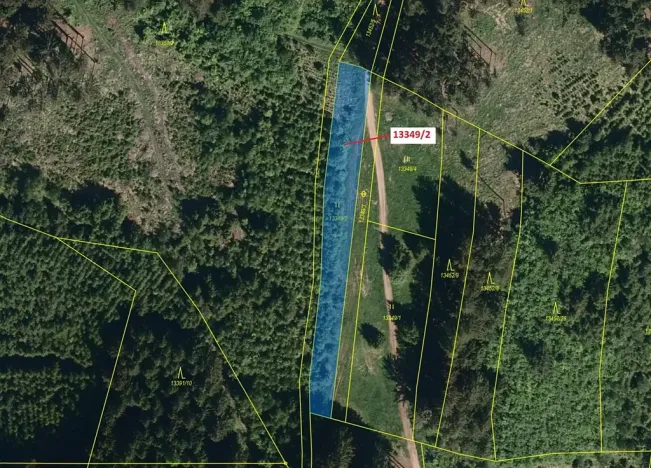 Dražba louky, Hovězí, 1344 m2