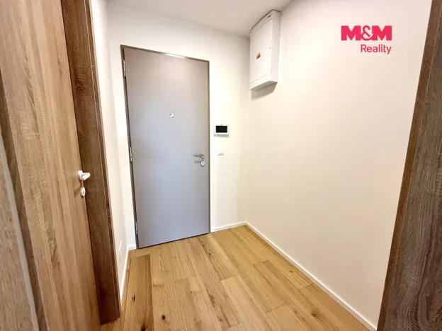 Pronájem bytu 1+kk, Brandýs nad Labem-Stará Boleslav - Brandýs nad Labem, Dřevčická, 41 m2