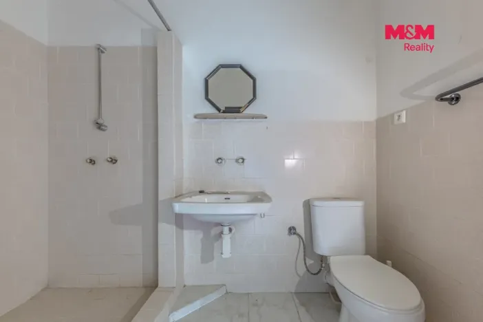 Prodej komerční nemovitosti, Plavy, 500 m2