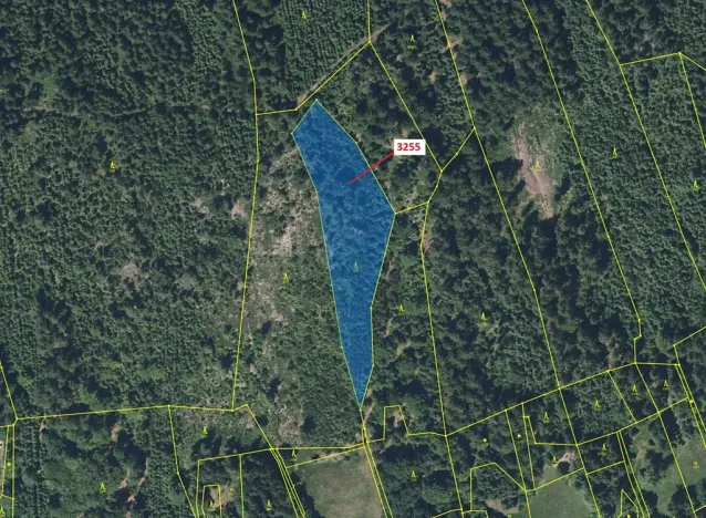 Dražba lesa, Velké Hamry, 6125 m2