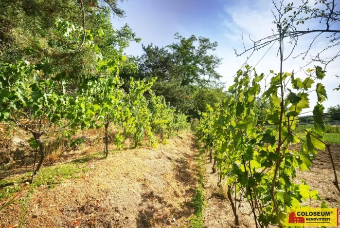 Prodej rodinného domu, Lechovice, 129 m2