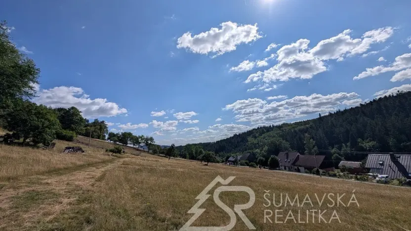 Prodej pozemku, Petrovice u Sušice - Pařezí, 4773 m2