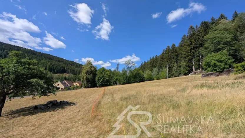 Prodej pozemku, Petrovice u Sušice - Pařezí, 4773 m2