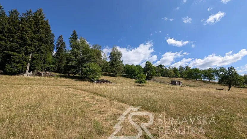 Prodej pozemku, Petrovice u Sušice - Pařezí, 4773 m2