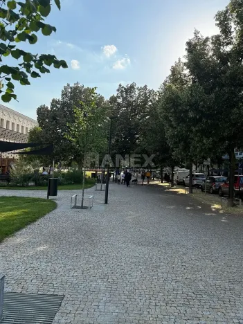 Prodej bytu 3+1, Praha - Vinohrady, Lucemburská, 82 m2