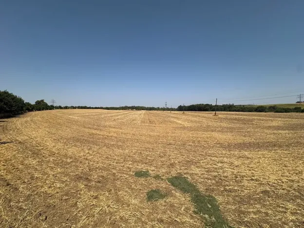 Prodej zahrady, Ořechov, 500 m2