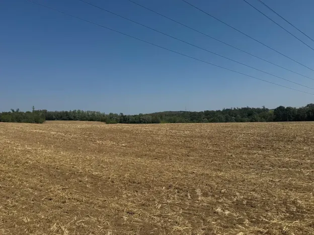 Prodej zahrady, Ořechov, 500 m2