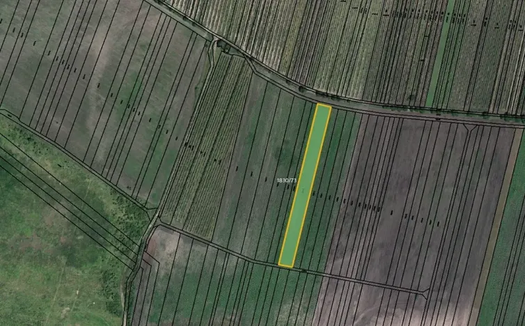 Prodej pole, Hlohovec, 2074 m2