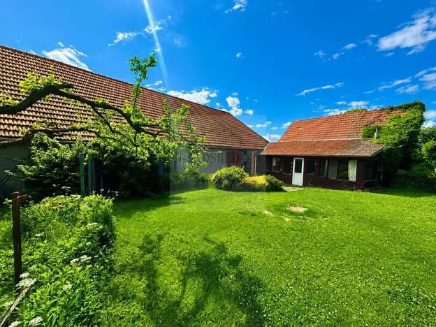 Prodej rodinného domu, Lipovec, 4500 m2