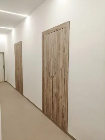 Pronájem bytu 1+1, Brno, Botanická, 37 m2