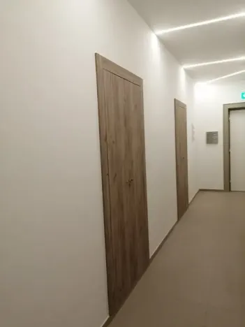 Pronájem bytu 1+1, Brno, Botanická, 37 m2
