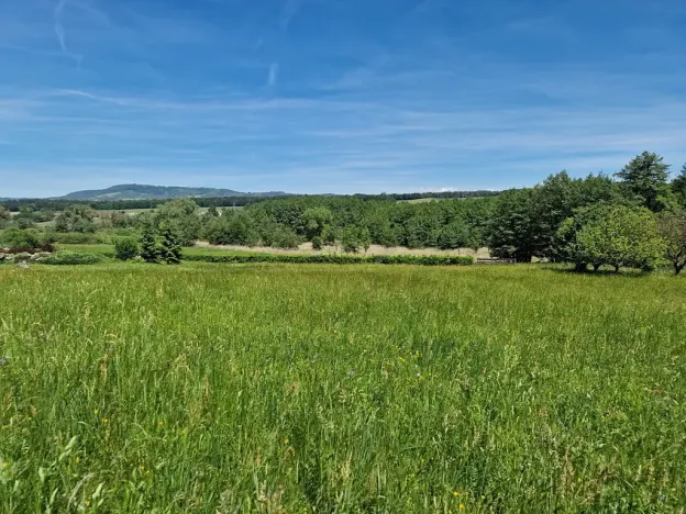 Prodej pozemku pro bydlení, Hrubá Skála, 3894 m2