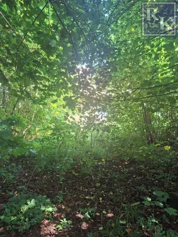 Prodej rodinného domu, Kozlovice, 75 m2