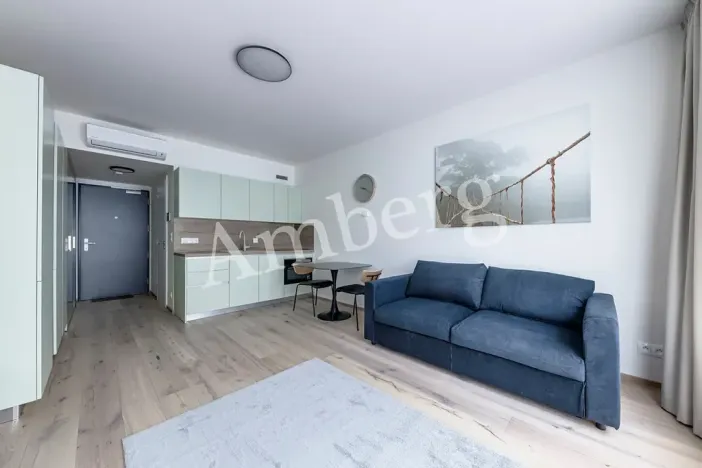 Pronájem bytu 1+kk, Praha - Karlín, Sokolovská, 28 m2