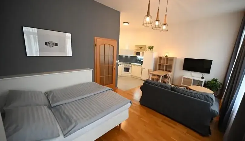 Pronájem bytu 1+kk, Praha - Vinohrady, Sázavská, 35 m2