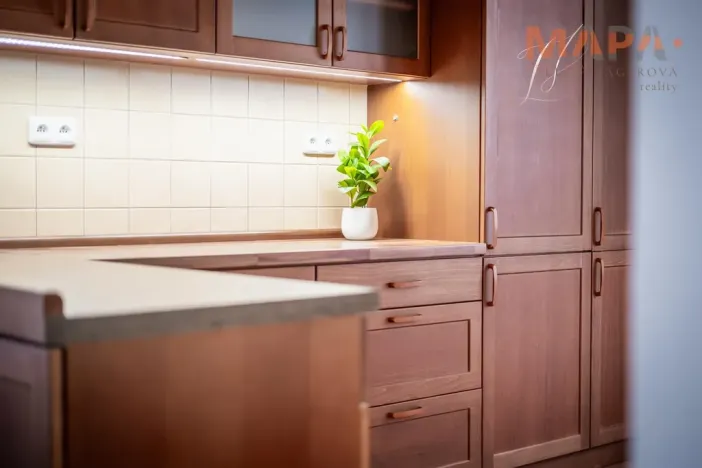 Pronájem bytu 3+kk, Praha - Dejvice, Lindleyova, 79 m2