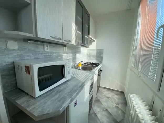 Pronájem bytu 1+1, Praha, Novodvorská, 28 m2