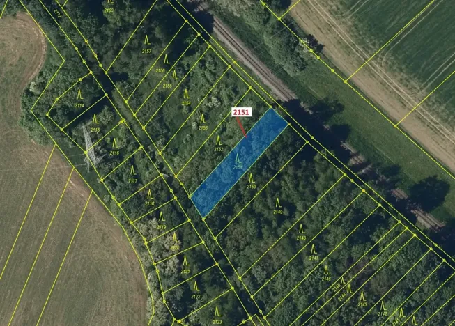 Dražba lesa, Bezměrov, 660 m2